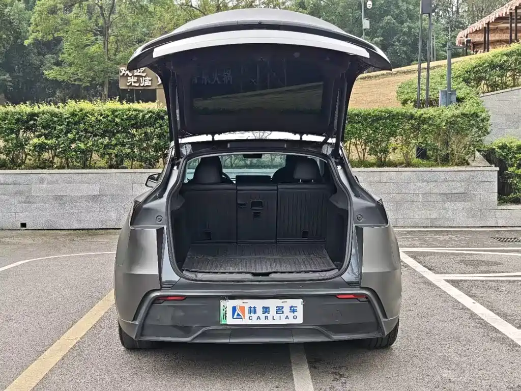 Tesla Model Y — миниатюра 26