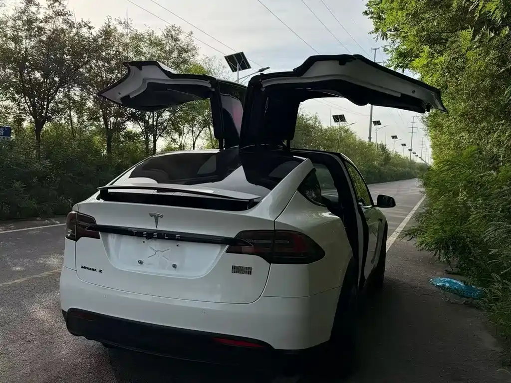 Tesla Model X — миниатюра 9