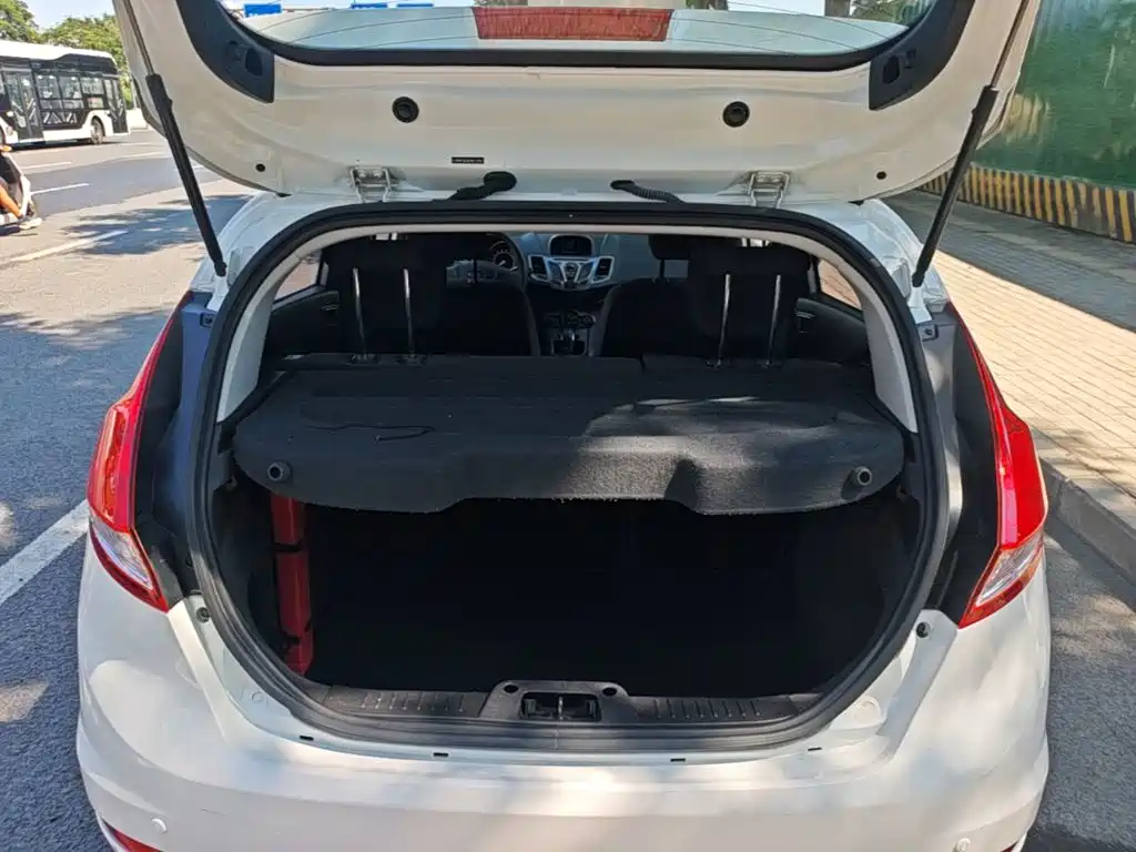 Ford Fiesta — миниатюра 19