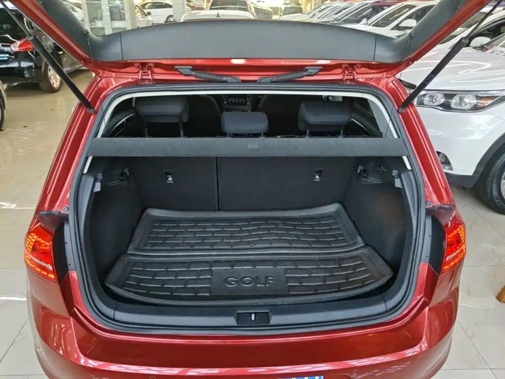 Volkswagen Golf — миниатюра 19