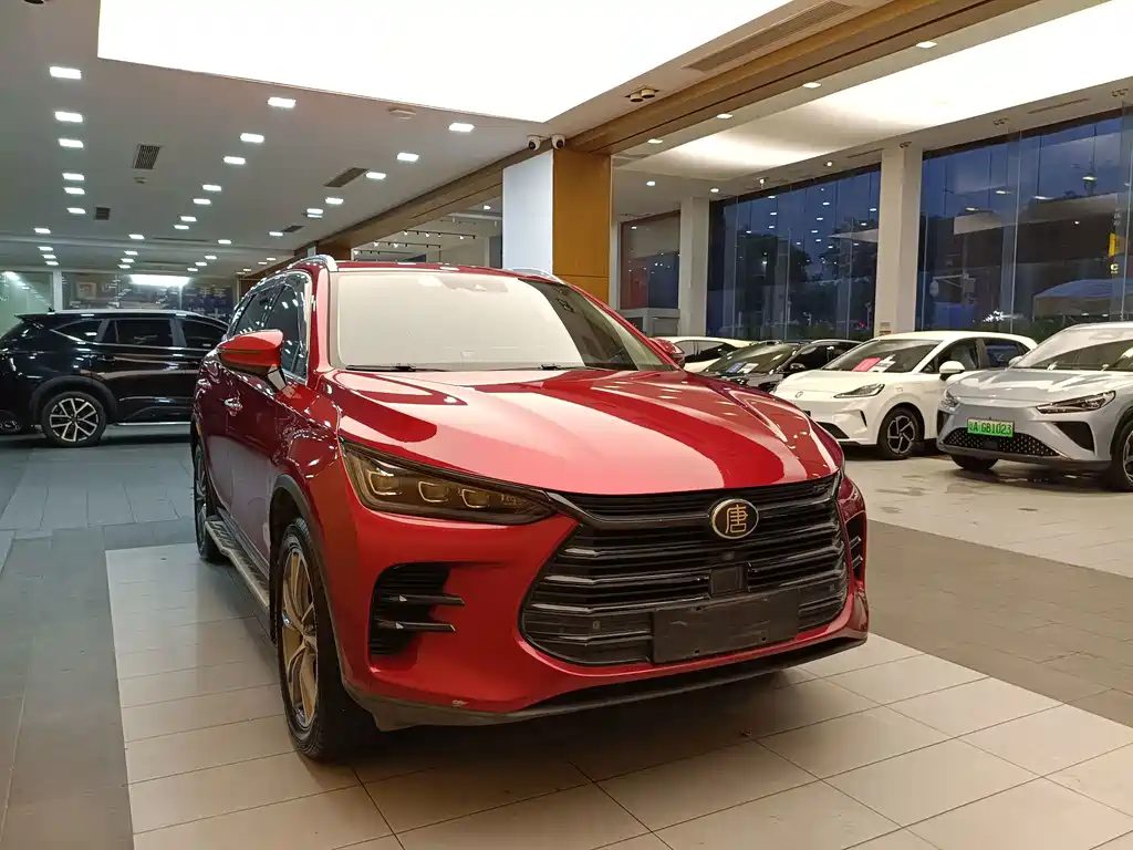 BYD Tang New Energy — миниатюра 4