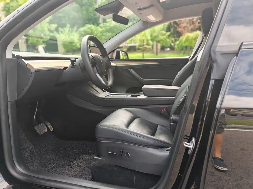 Tesla Model Y — миниатюра 5