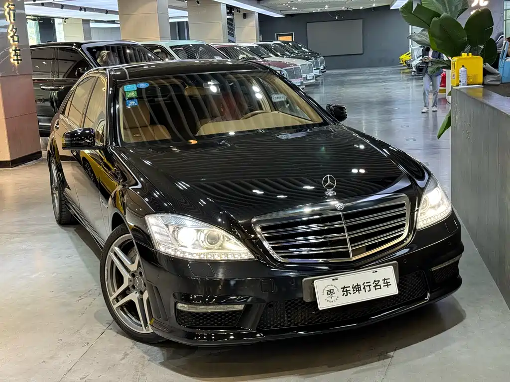 Mercedes-Benz S-Class A MG S AMG 2010 AMG S 65