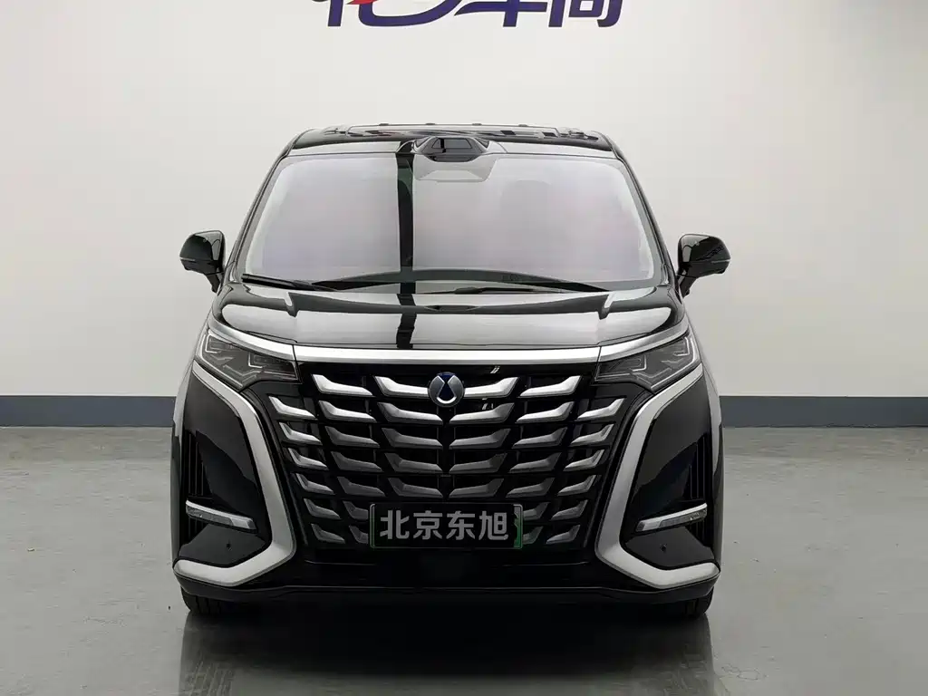 Denza Denza D9 — миниатюра 2
