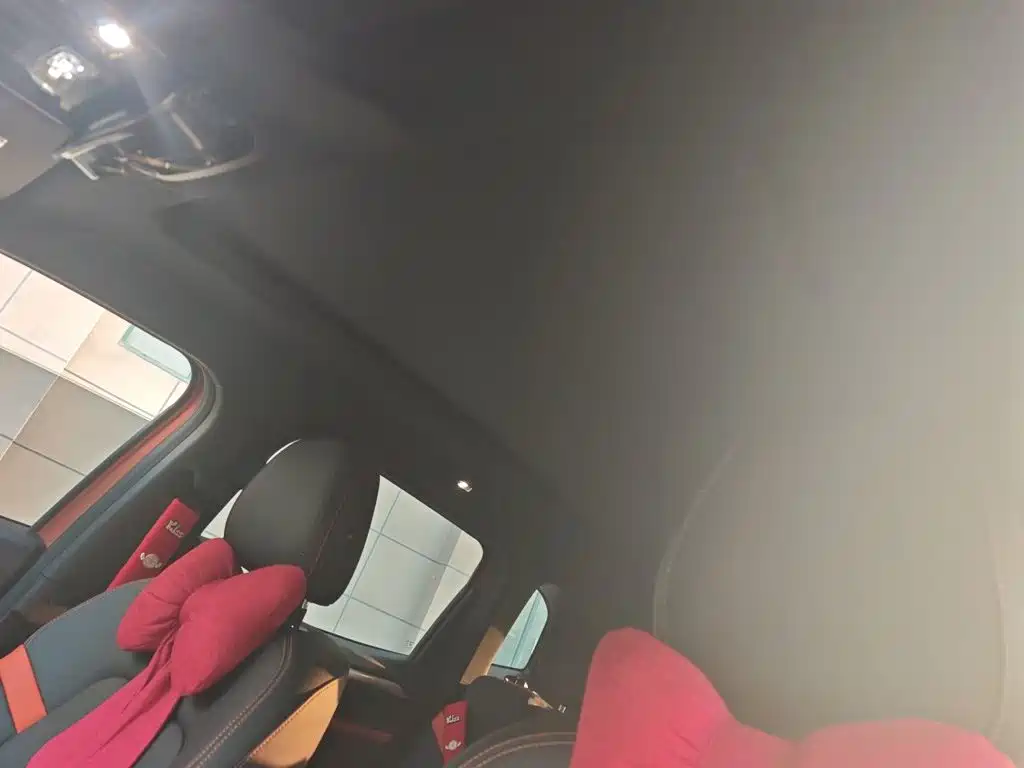 Haval Big Dog — миниатюра 14