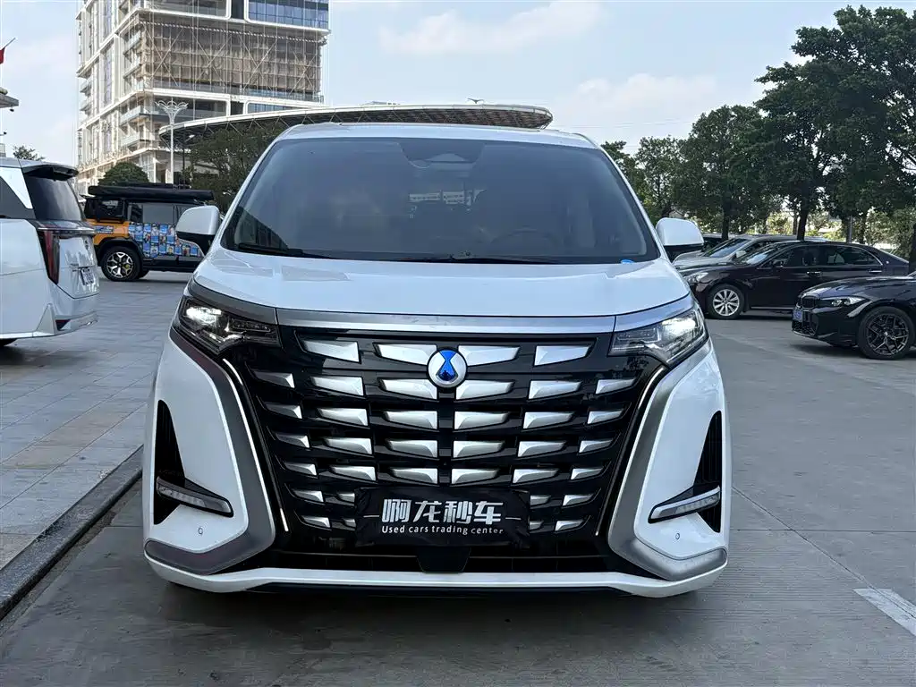 Denza Denza D9 — миниатюра 2