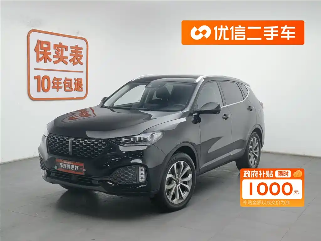 WEI PAI WEI BRAND VV6