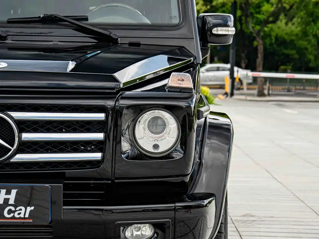 Mercedes-Benz G-Class A MG G AMG 2009 AMG G 55