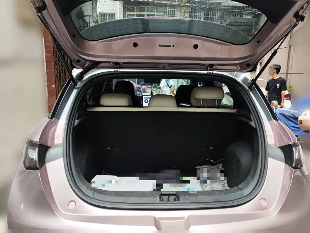 BYD Dolphin — миниатюра 15