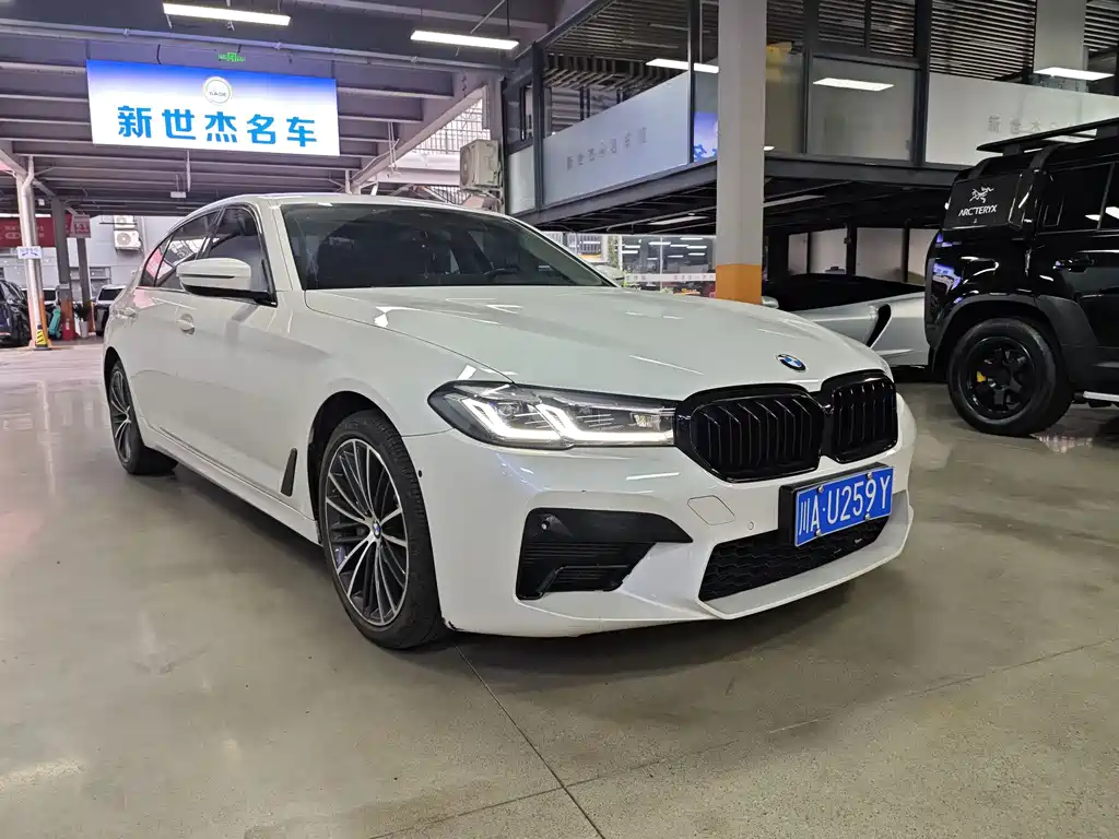 BMW 5 Series — миниатюра 3