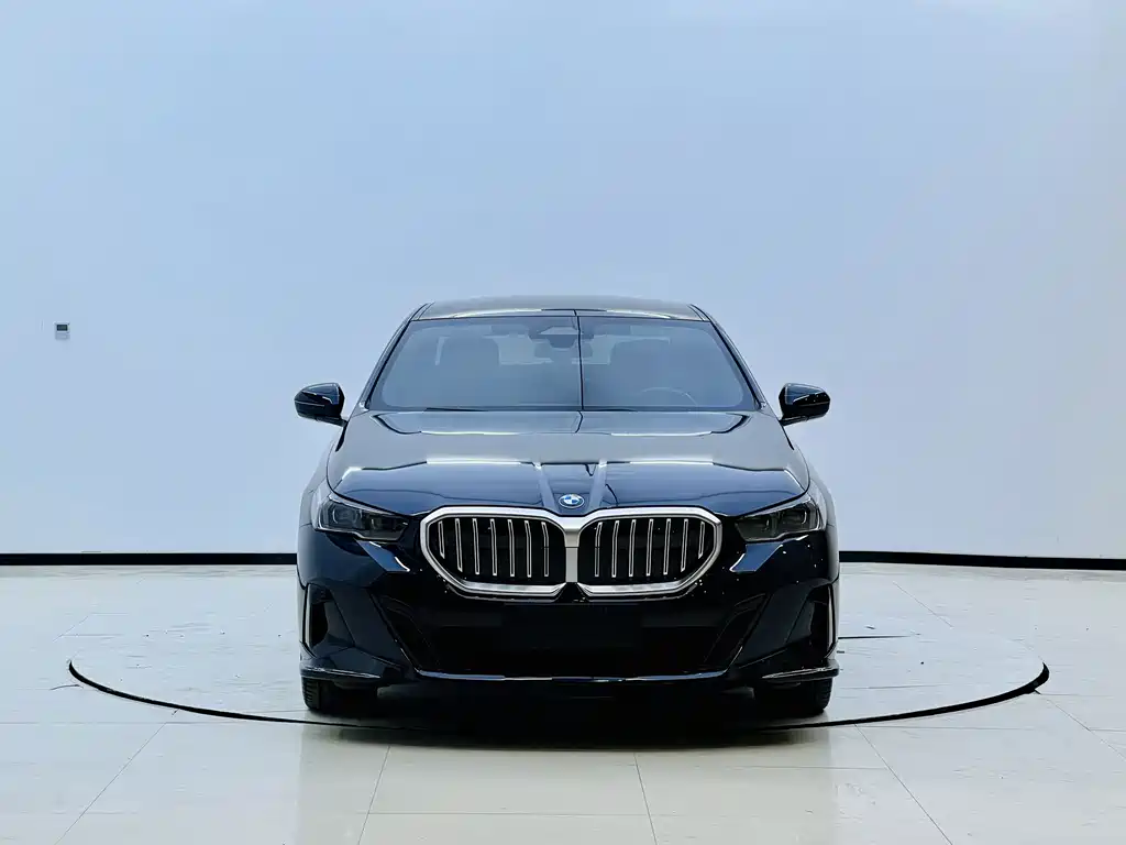 BMW 5 Series (Import) — миниатюра 2