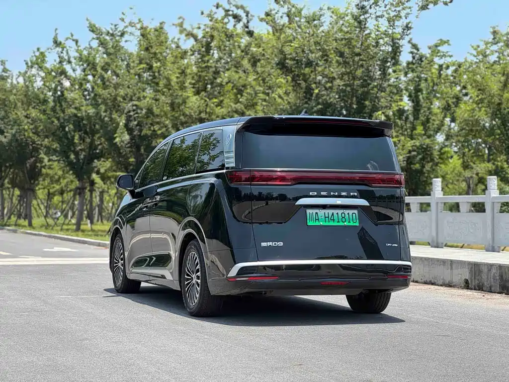Denza Denza D9 — миниатюра 8