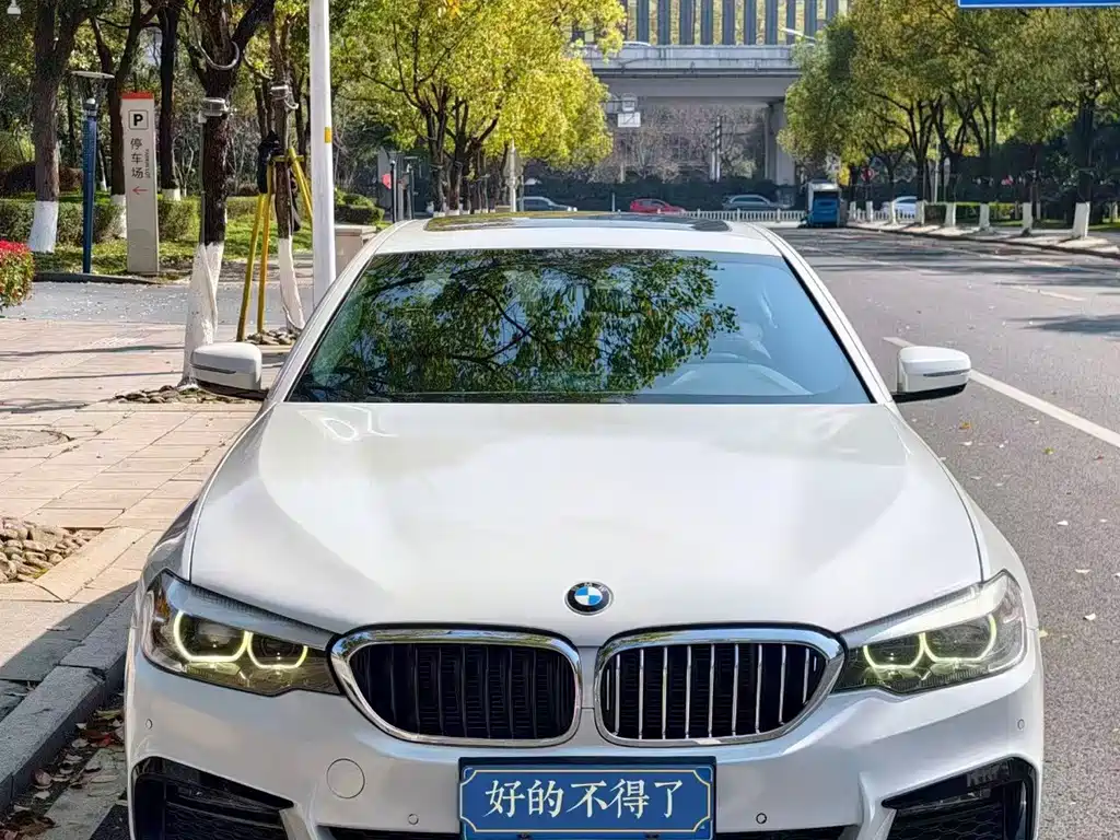 BMW 5 Series — миниатюра 2