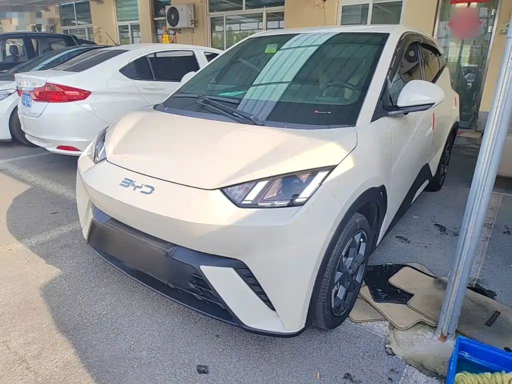 BYD Seagull