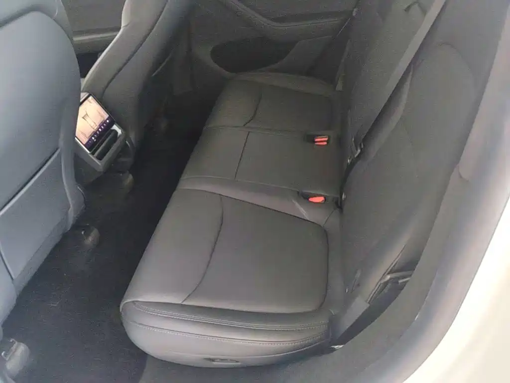 Tesla Model Y — миниатюра 17