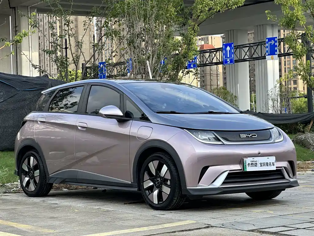 BYD Dolphin — миниатюра 3