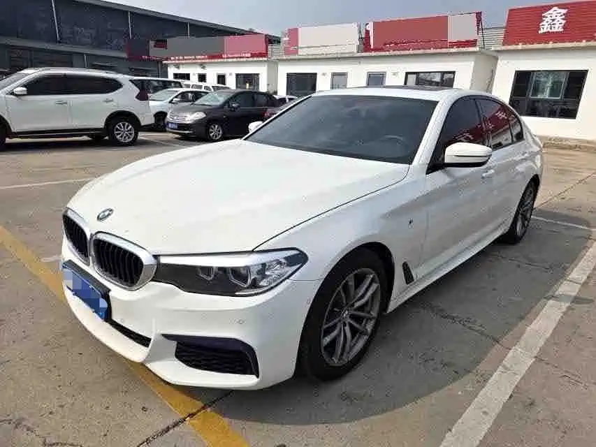 BMW 5 Series (Import) — миниатюра 8
