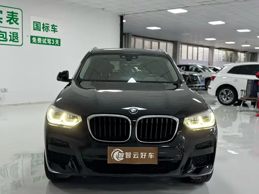 BMW X3 — миниатюра 2