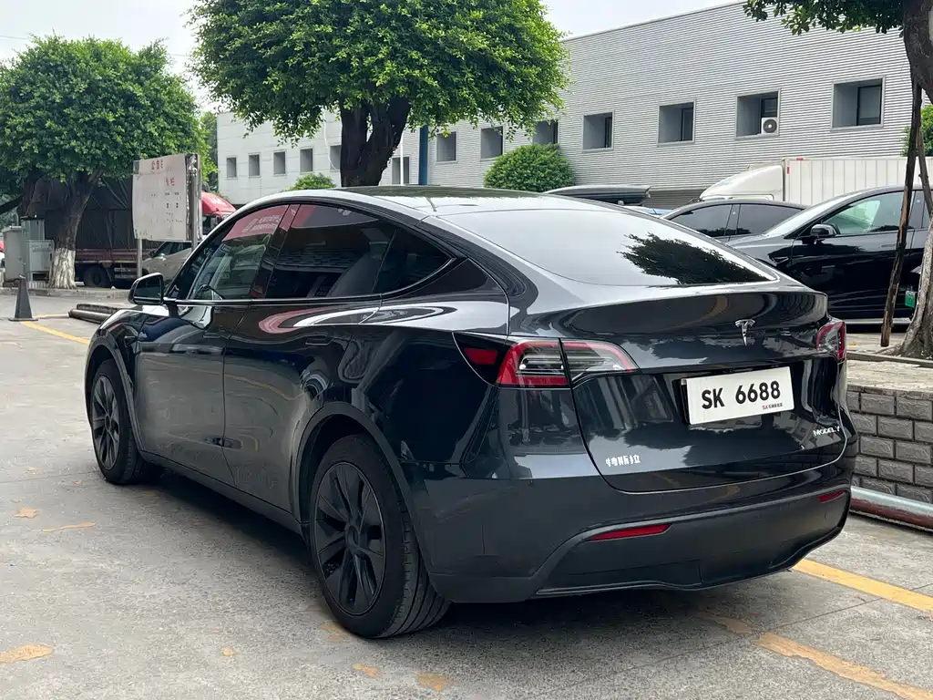 Tesla Model Y — миниатюра 5