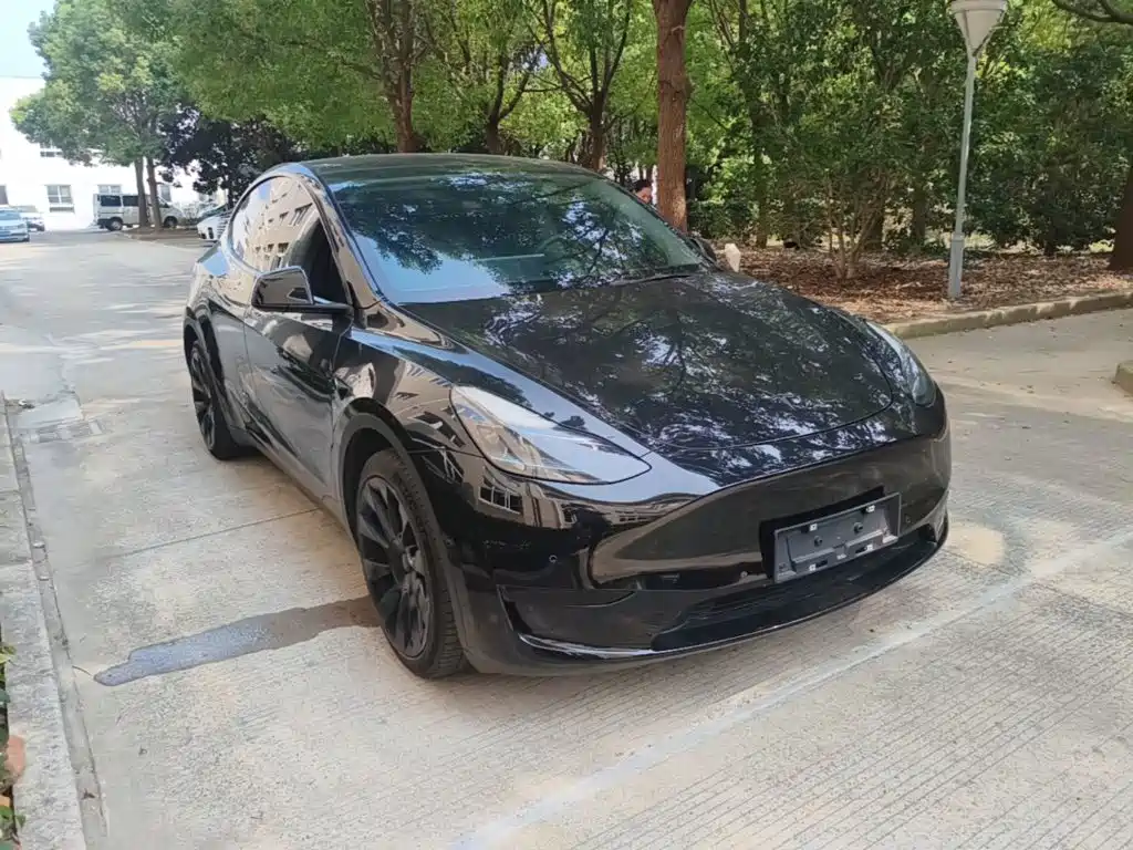 Tesla Model Y — миниатюра 4