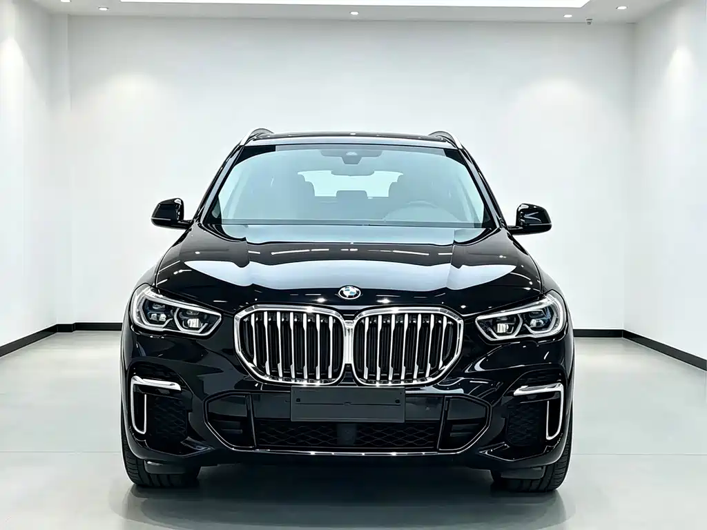 BMW X5 — миниатюра 2