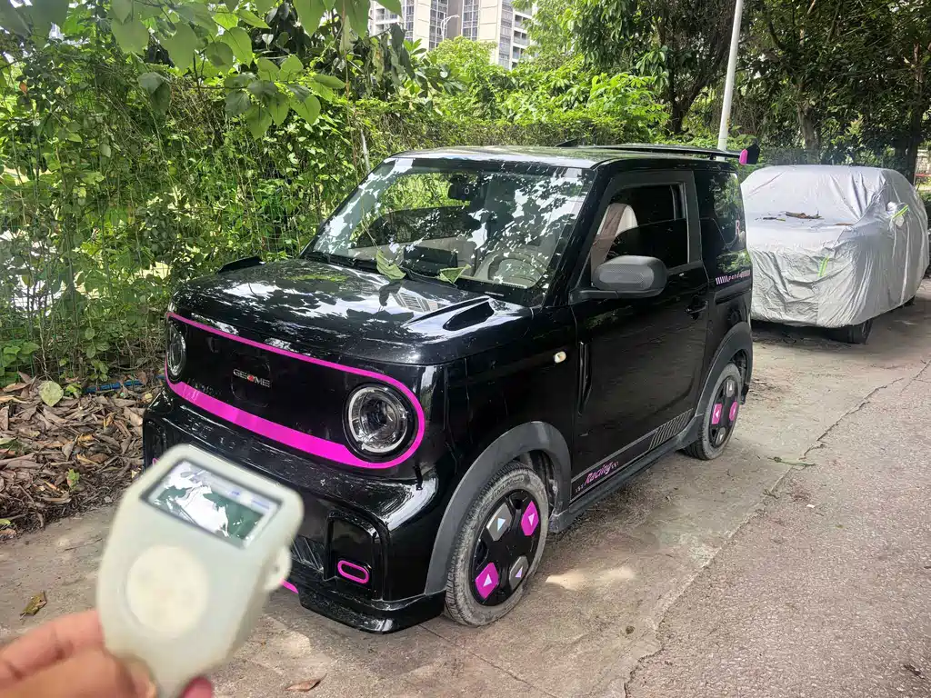 Galaxy Panda