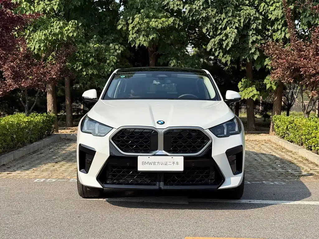 BMW X2 (Import) — миниатюра 5