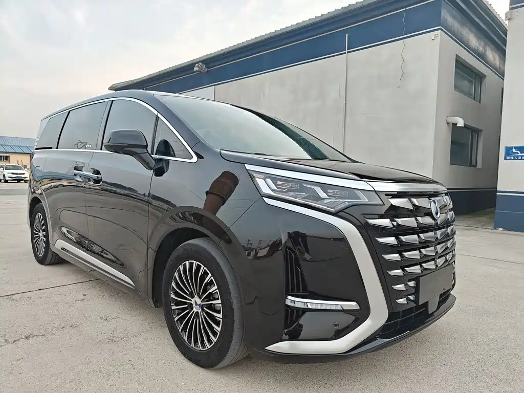 Denza Denza D9 — миниатюра 3