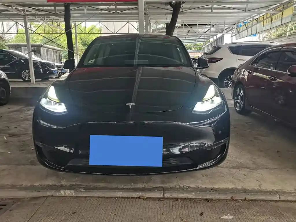 Tesla Model Y — миниатюра 2