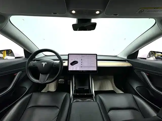 Tesla Model 3 — миниатюра 4
