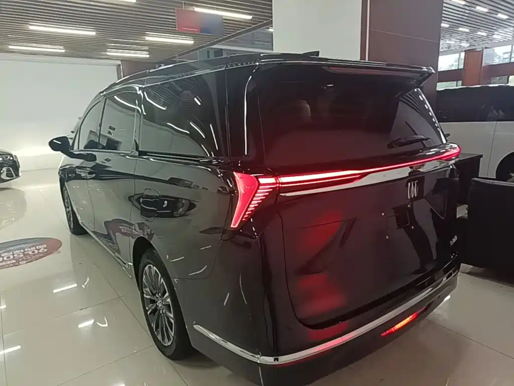 Buick GL8 — миниатюра 5