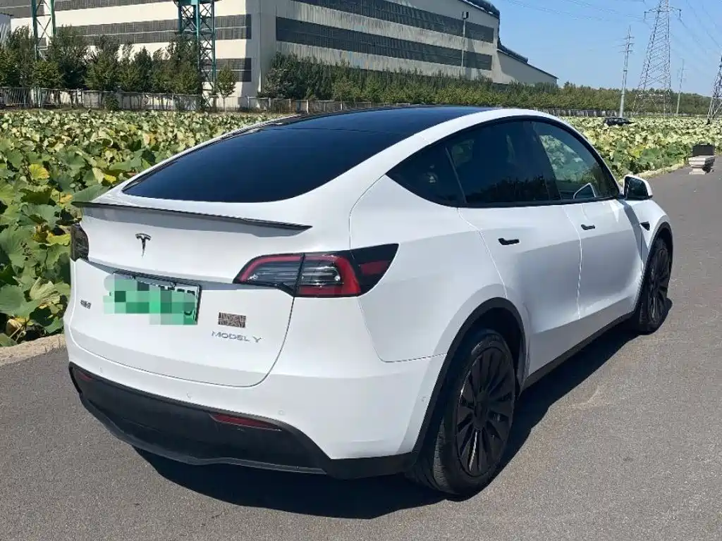 Tesla Model Y — миниатюра 3