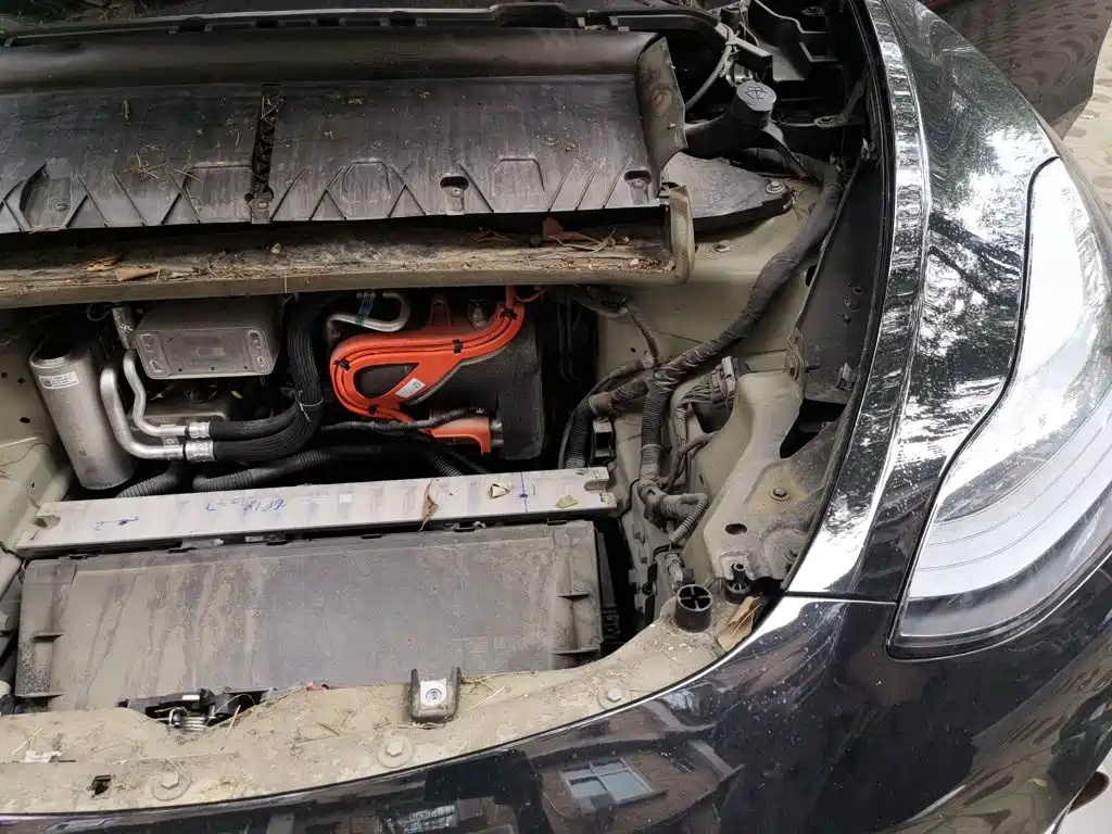 Tesla Model Y — миниатюра 21