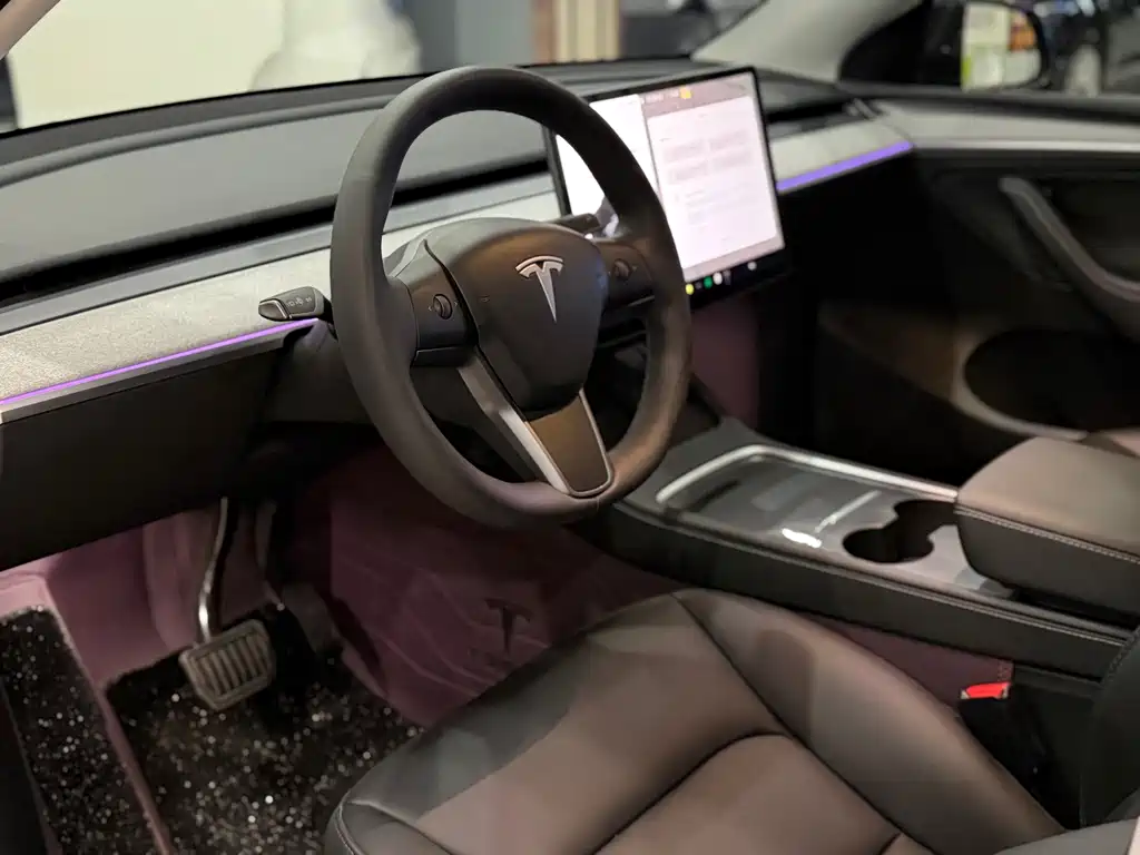 Tesla Model Y — миниатюра 4