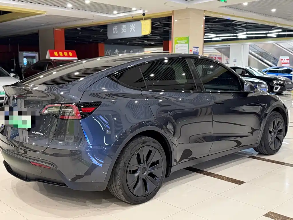 Tesla Model Y — миниатюра 9