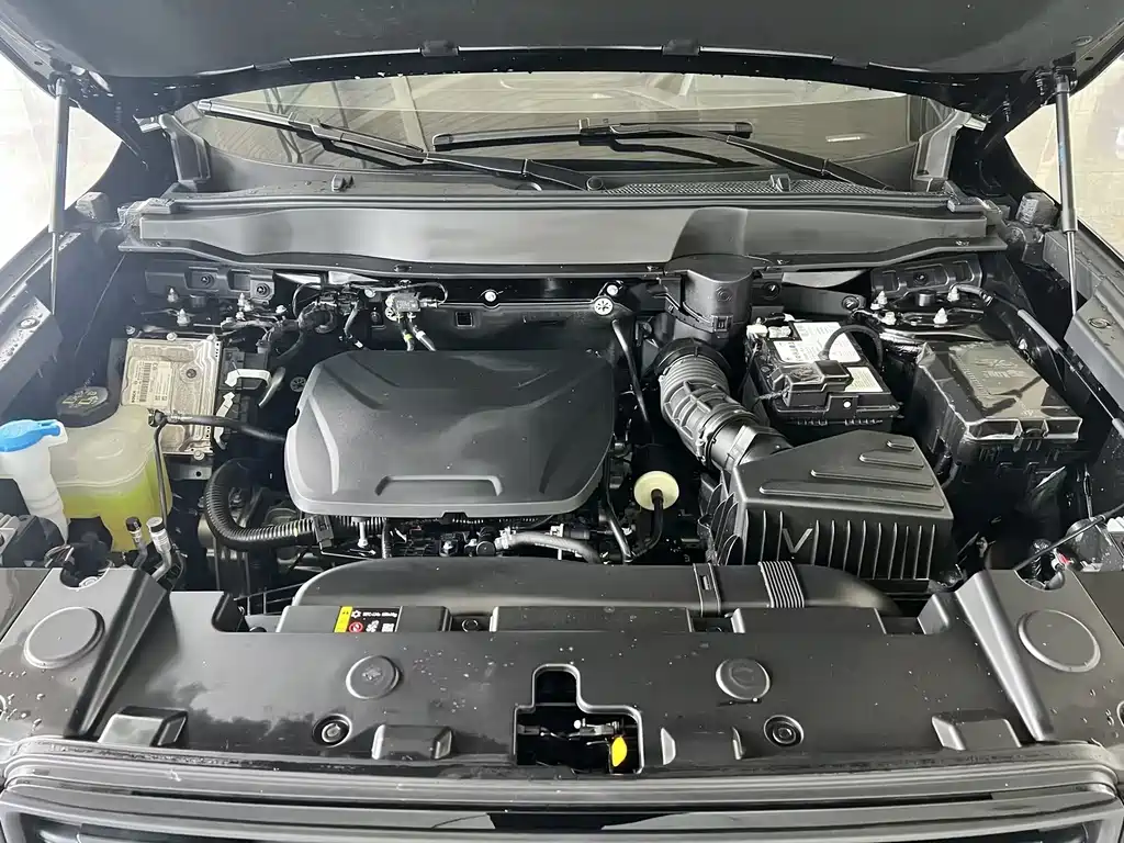 Haval Big Dog — миниатюра 29