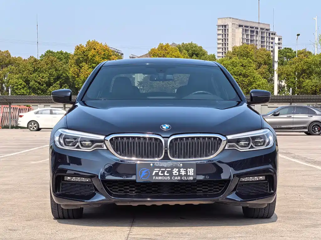BMW 5 Series 5 2019 530Li Premium M Sport