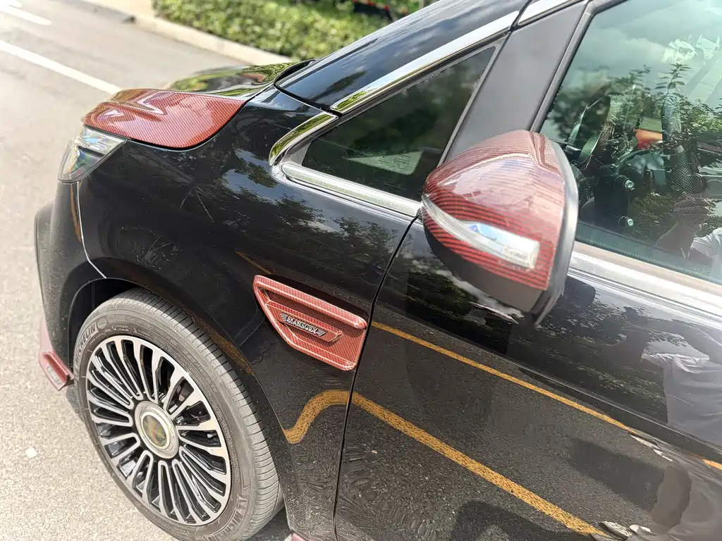 Mansory Mansory V-Class — миниатюра 31
