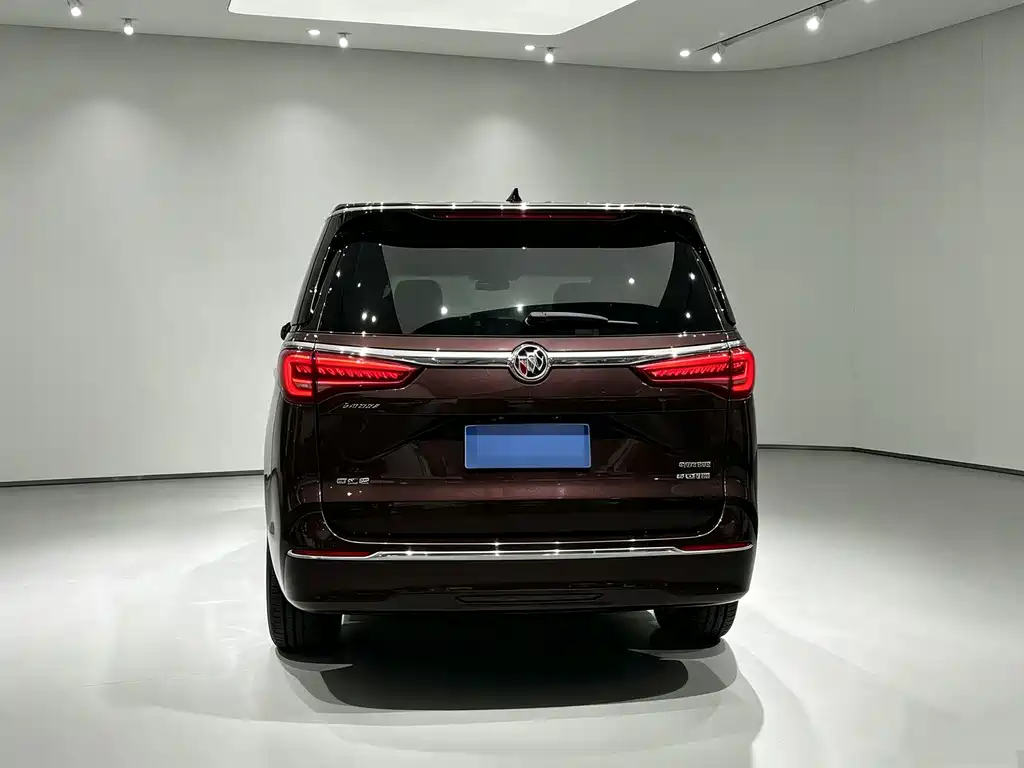 Buick GL8 — миниатюра 10