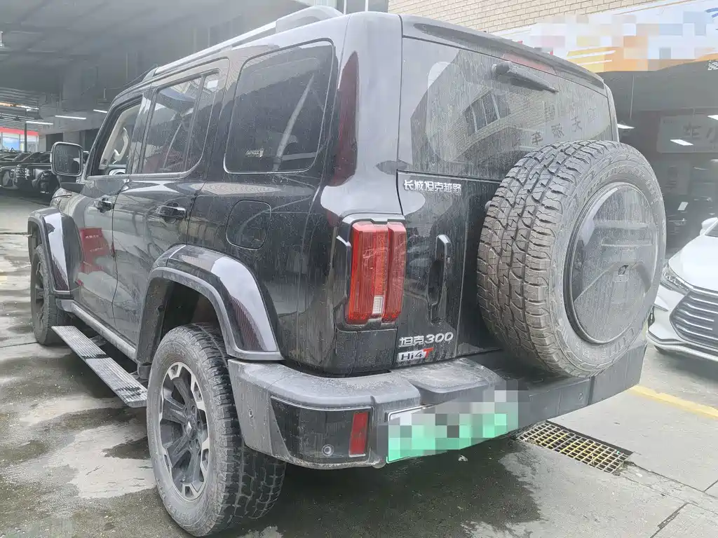 Tank Tank 300 New Energy — миниатюра 11