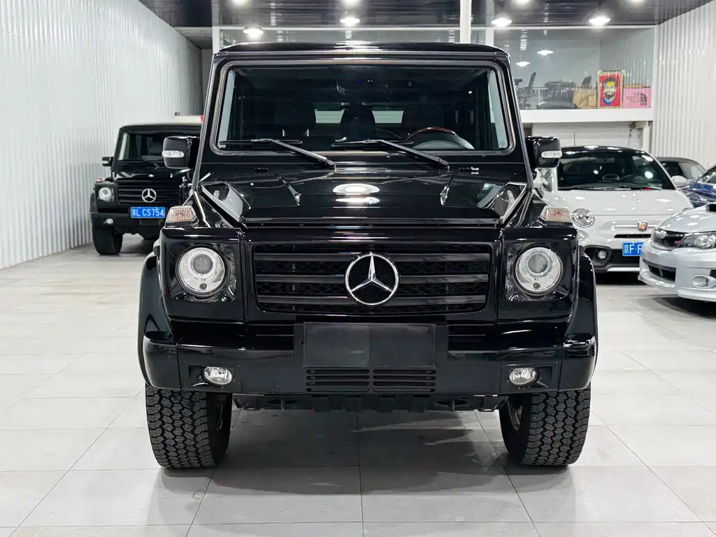 Mercedes-Benz G-Class G 2010 G 500