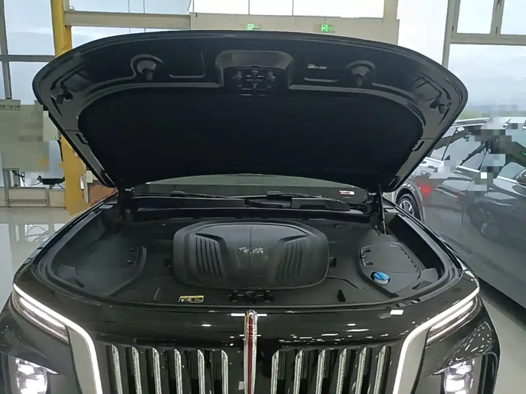 Hongqi Hongqi E-HS9 — миниатюра 20