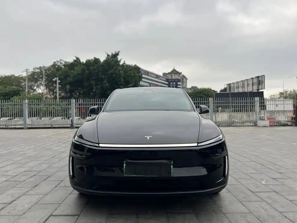 Tesla Model Y — миниатюра 2