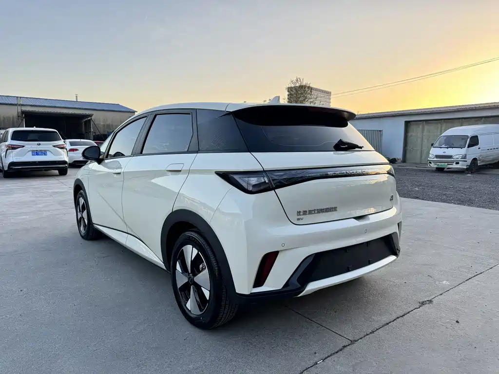 BYD Dolphin — миниатюра 12