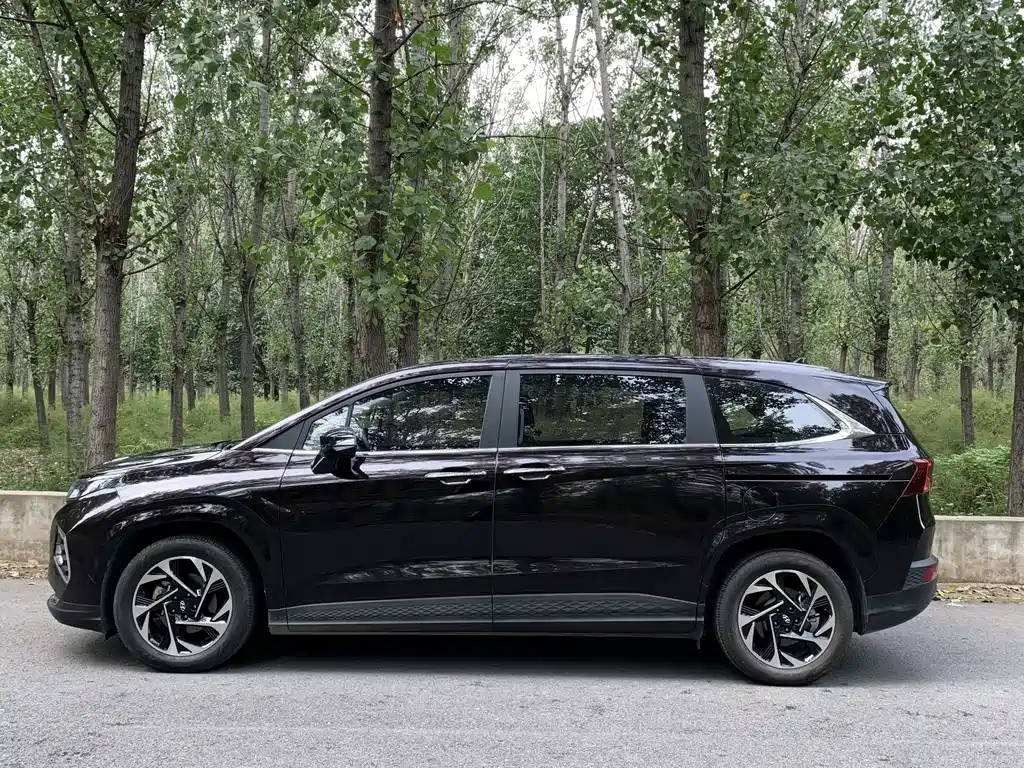 Hyundai Custo — миниатюра 4