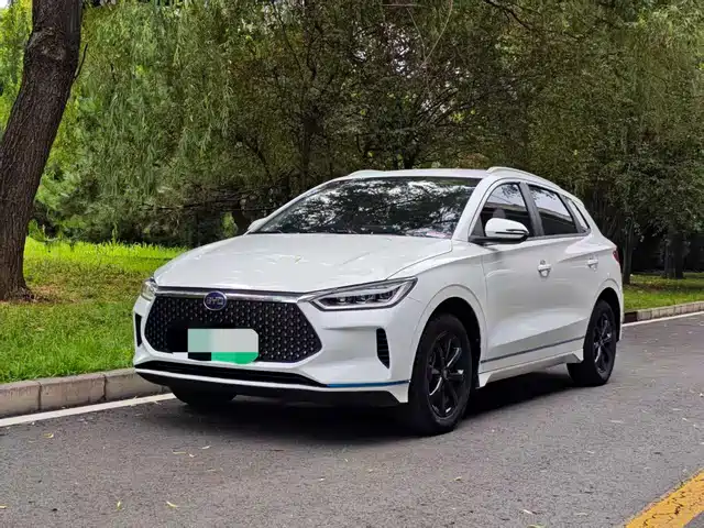 2019 BYD e2