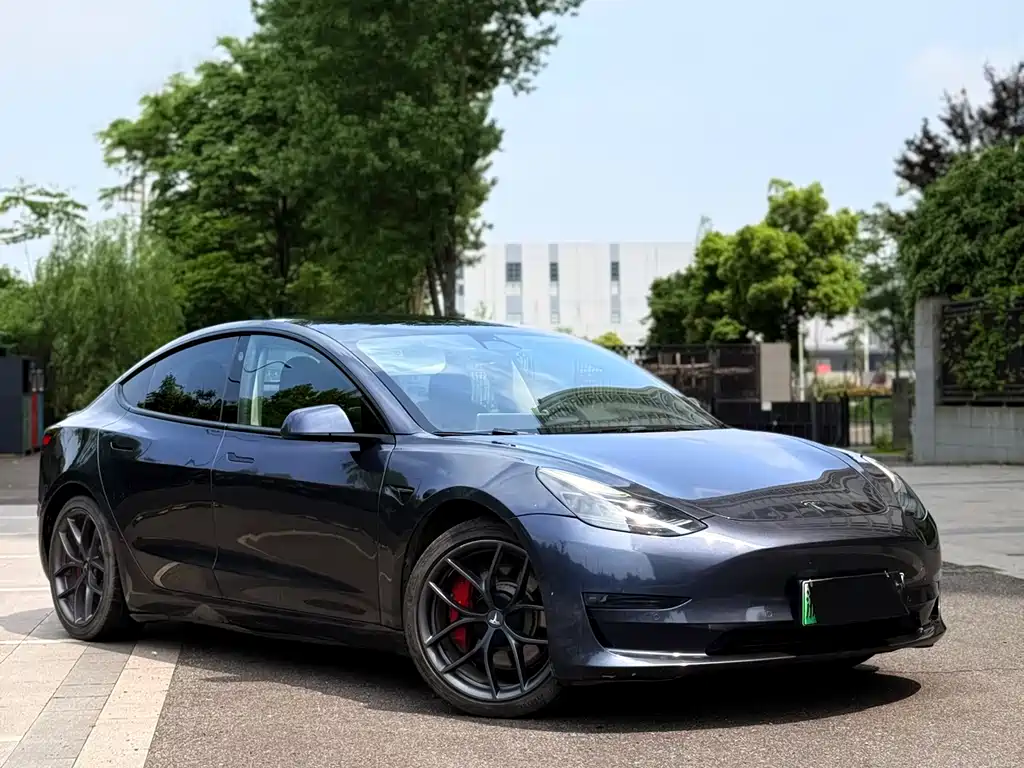 Tesla Model 3 2022