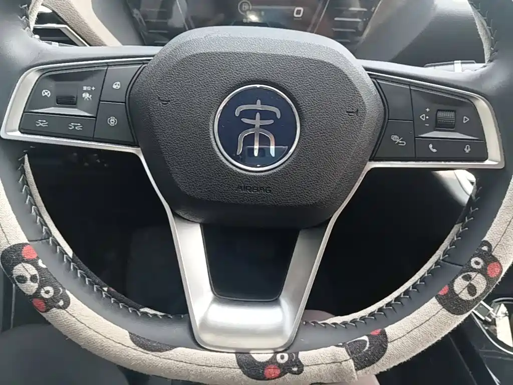 BYD Pro — миниатюра 11