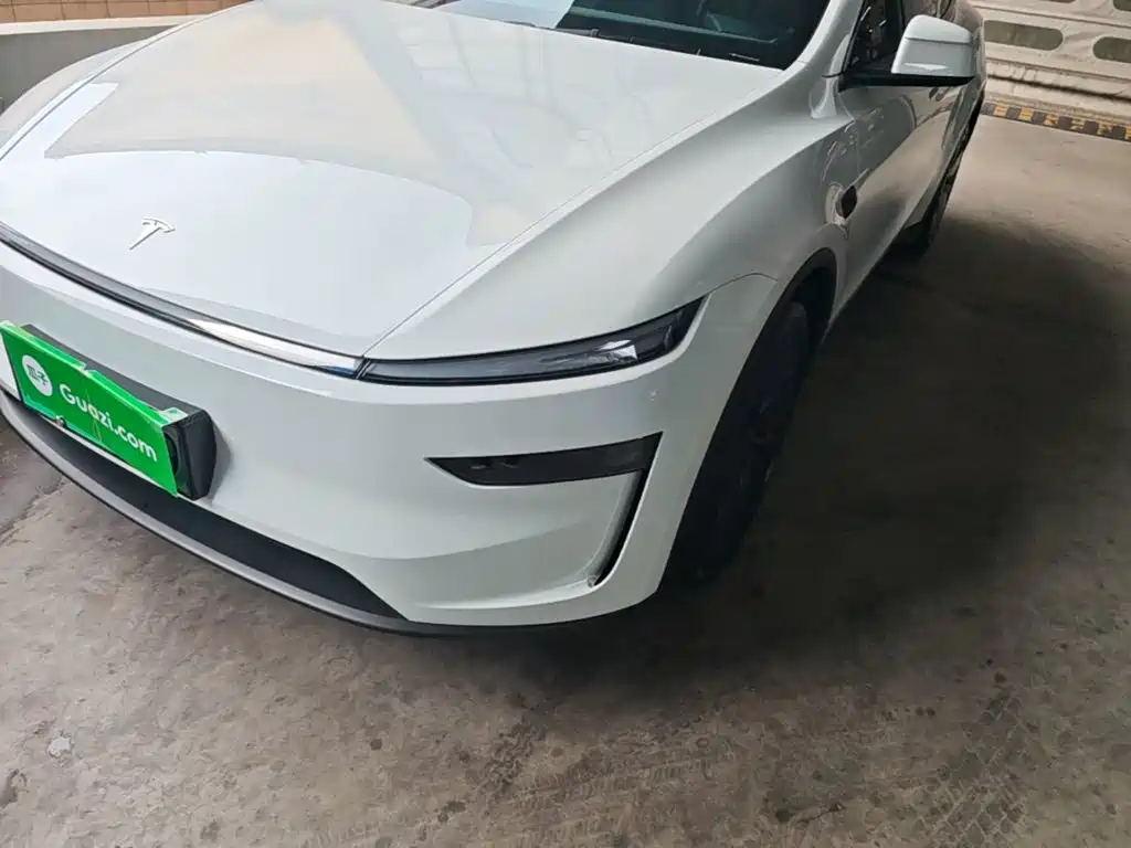 Tesla Model Y — миниатюра 24