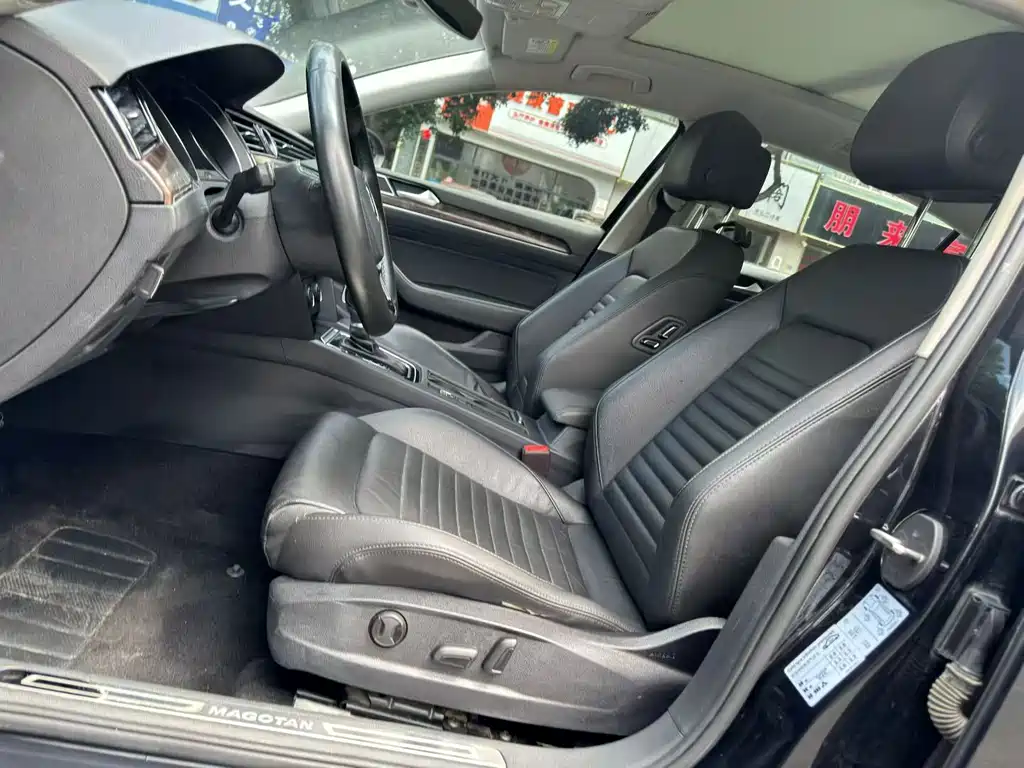 Volkswagen Magotan 2019 330TSI DSG Luxury VI